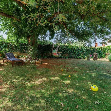 Apartment Lili-1 By Interhome * Kukci